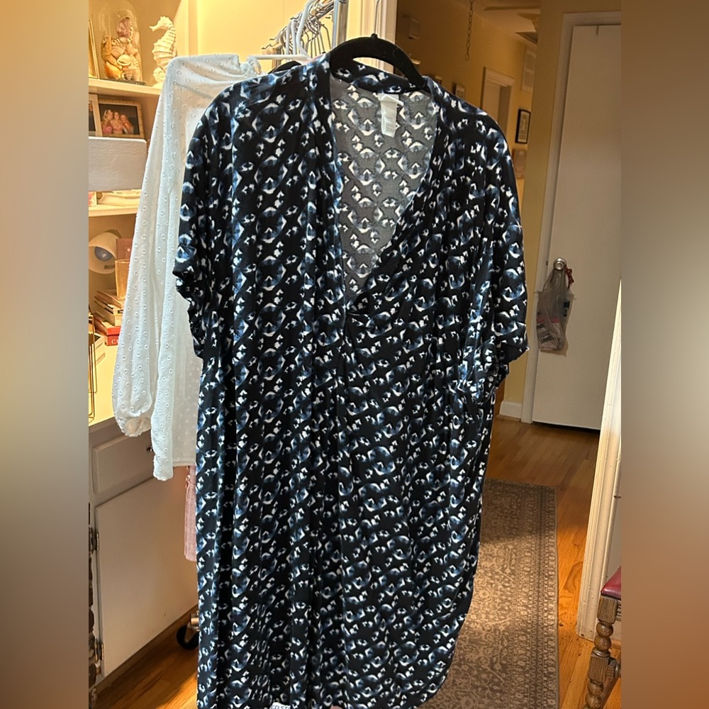 Blue and White H&M shirt dress